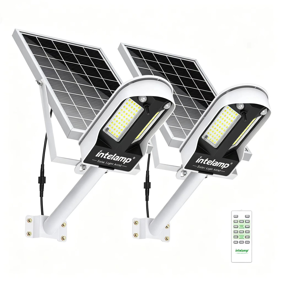 Intelamp Long Life Solar Street Lights