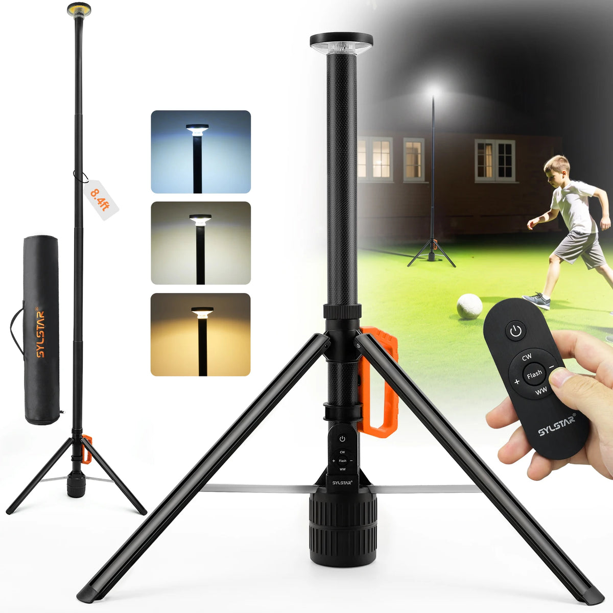 Portable Rechargeable Work Light With Remote Control