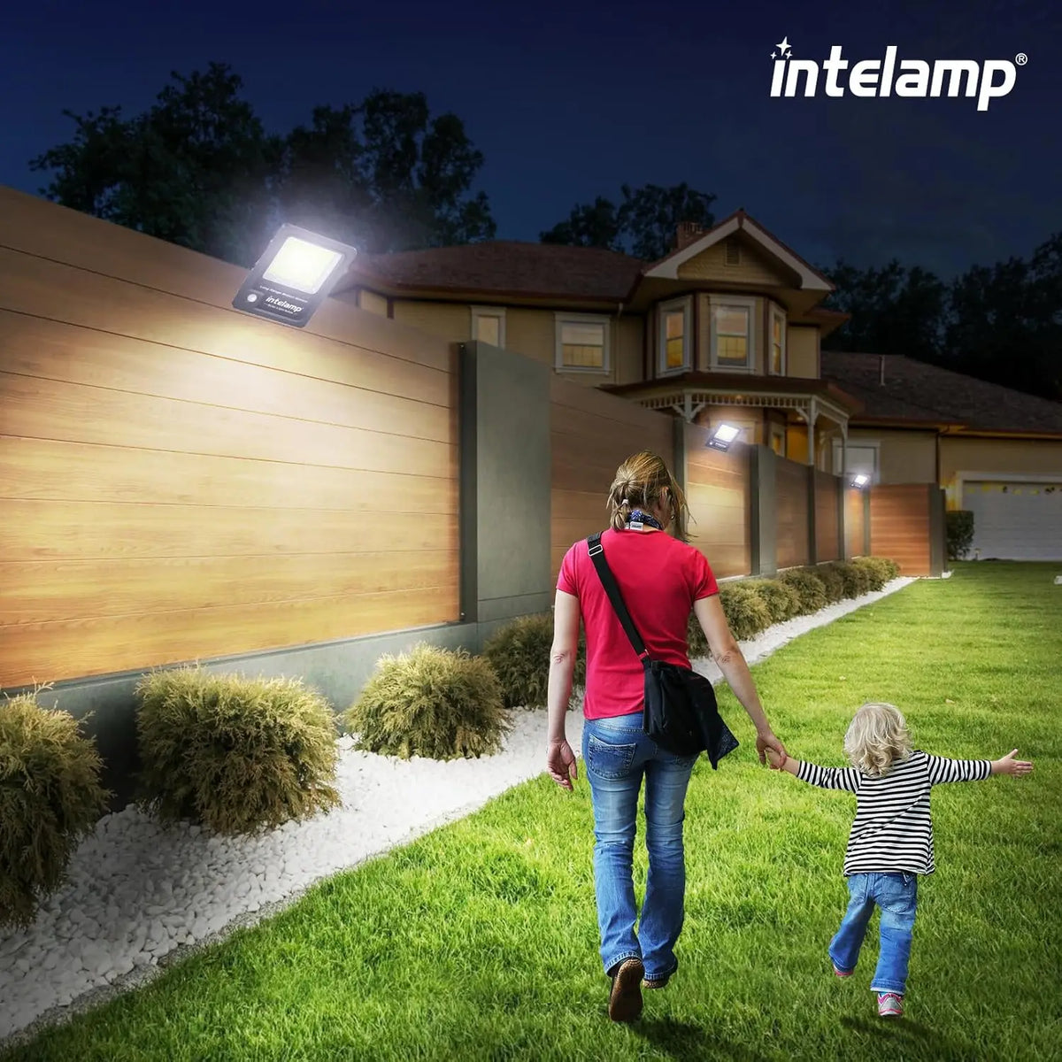 Intelamp Dual Sensor Outdoor Solar Lights
