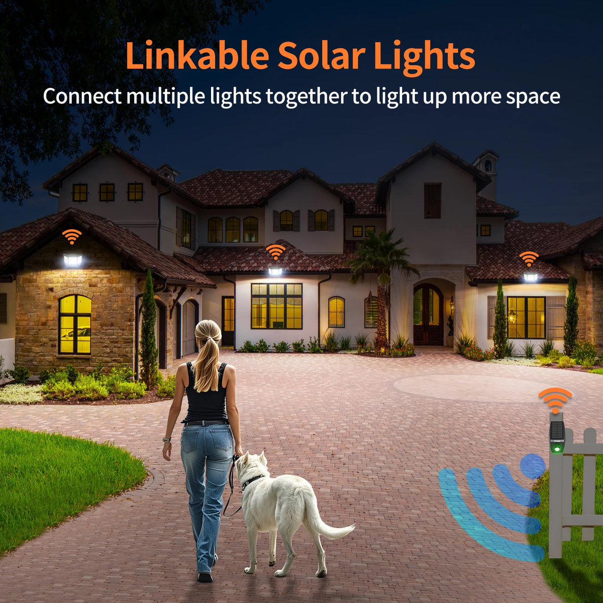 Intelamp Outdoor Solar Flood Light