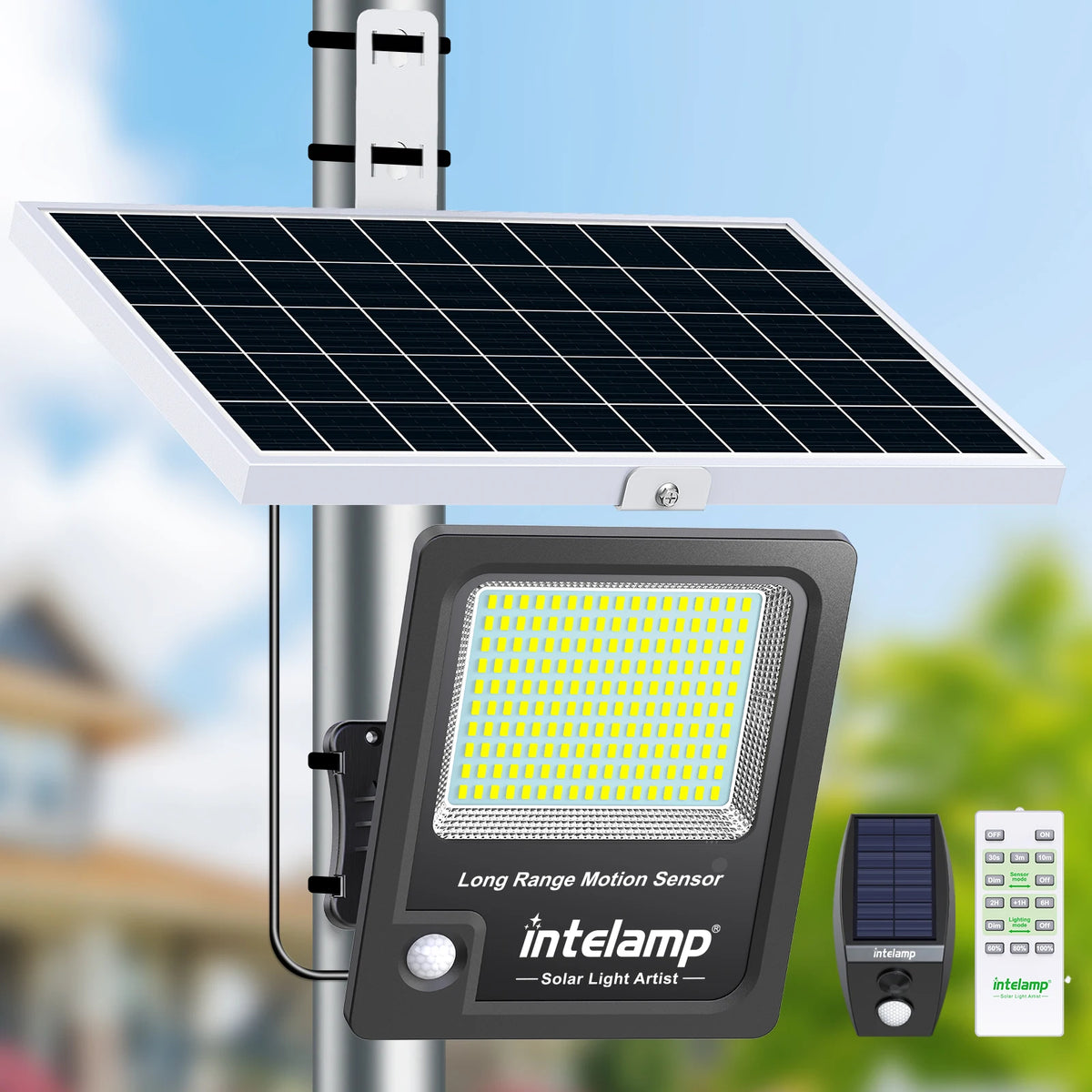 Intelamp Dual Sensor Outdoor Solar Lights