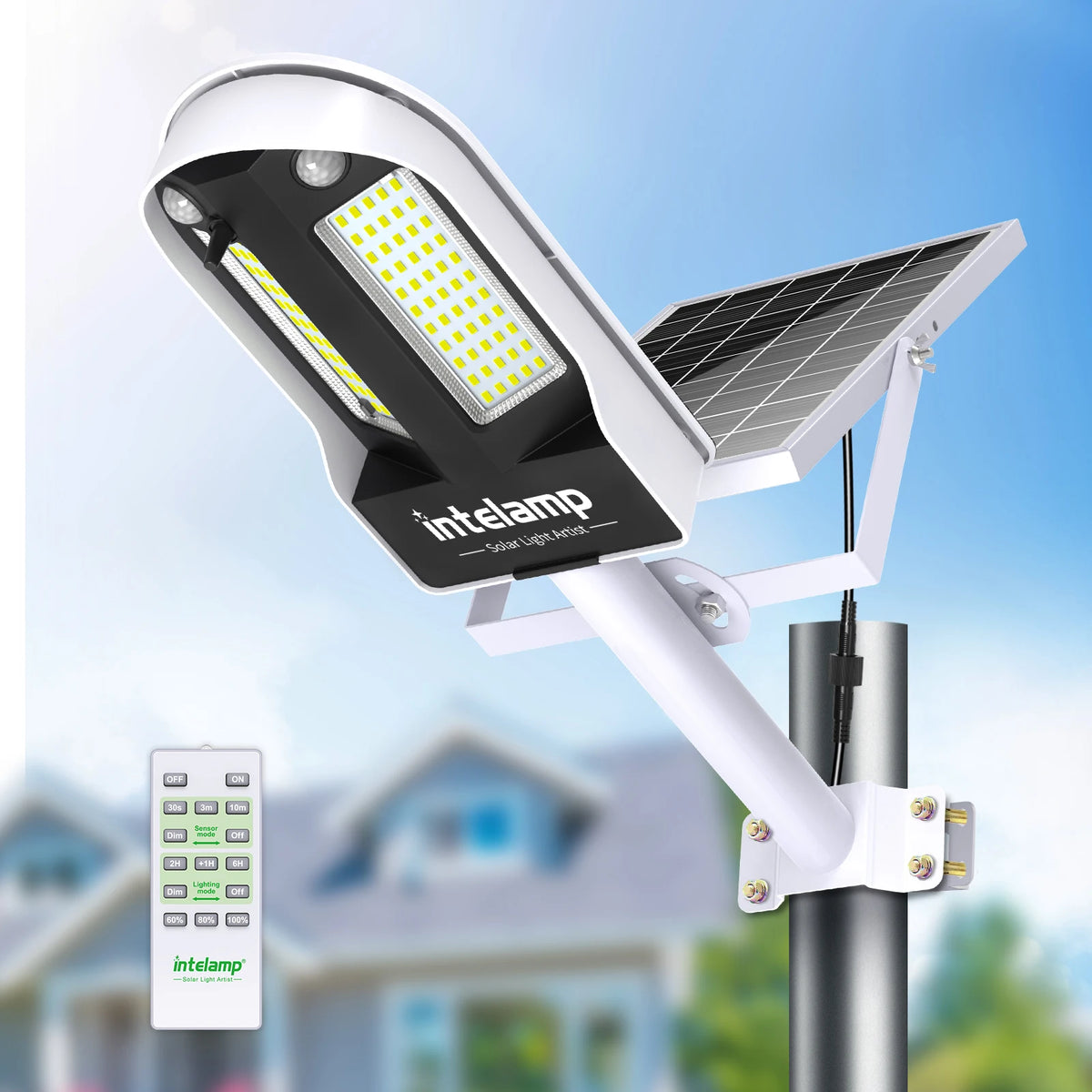 Intelamp Long Life Solar Street Lights