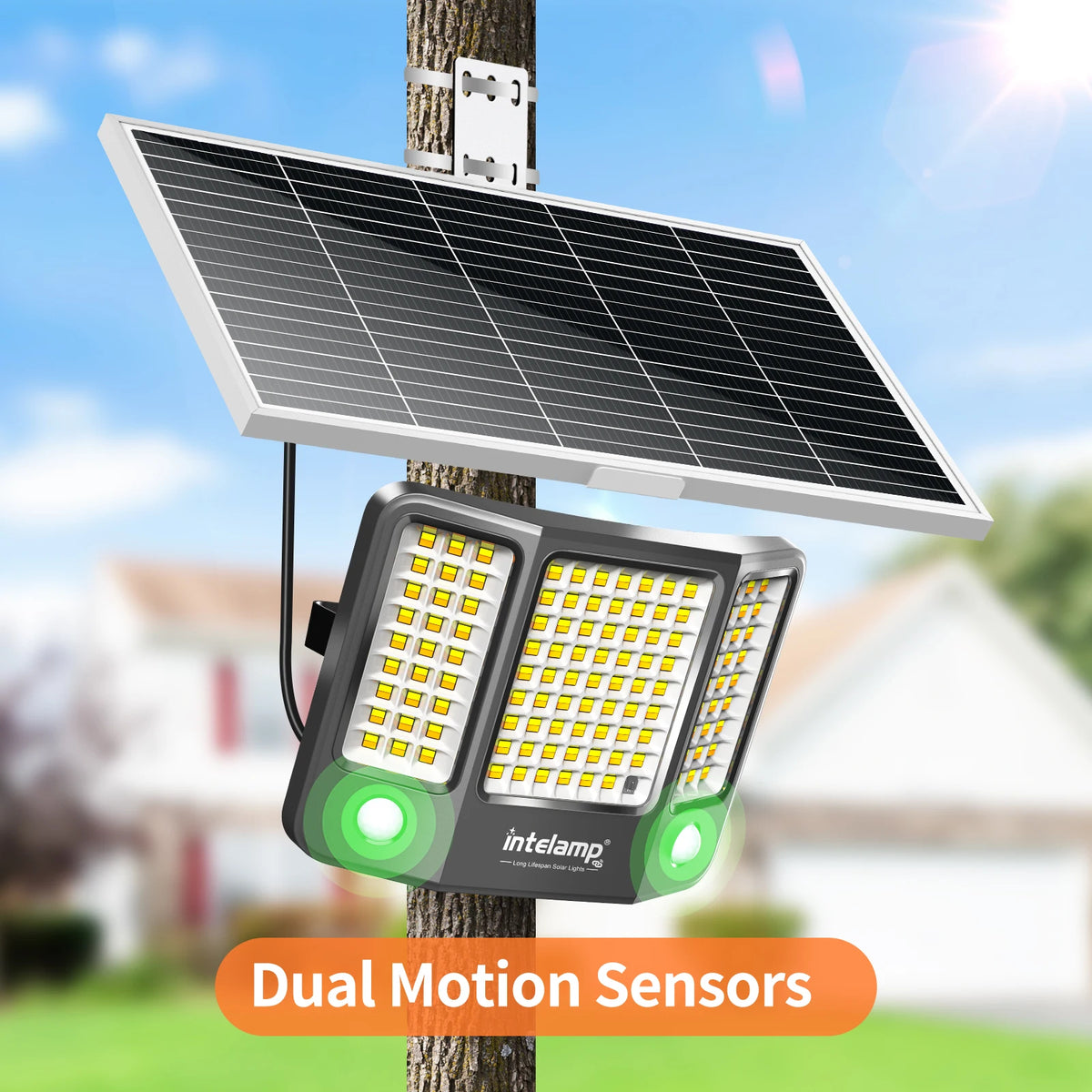 Intelamp Outdoor Solar Flood Light