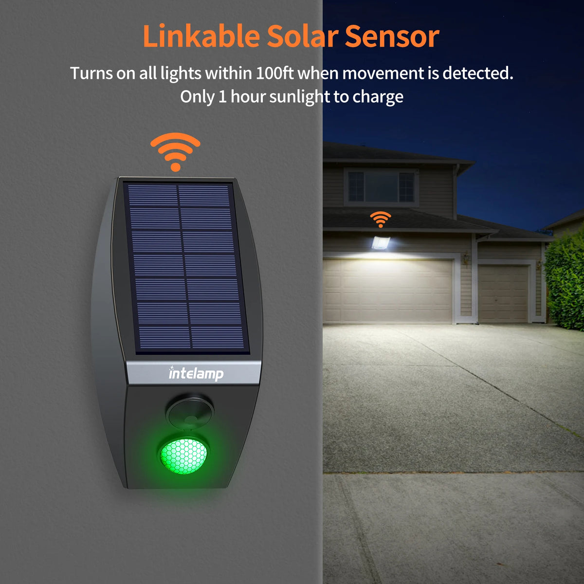 Intelamp Solar Outdoor Flood Light With Dual Sensors
