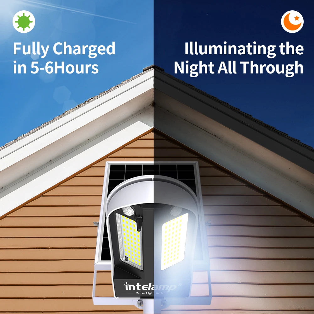 Intelamp Long Life Solar Street Lights
