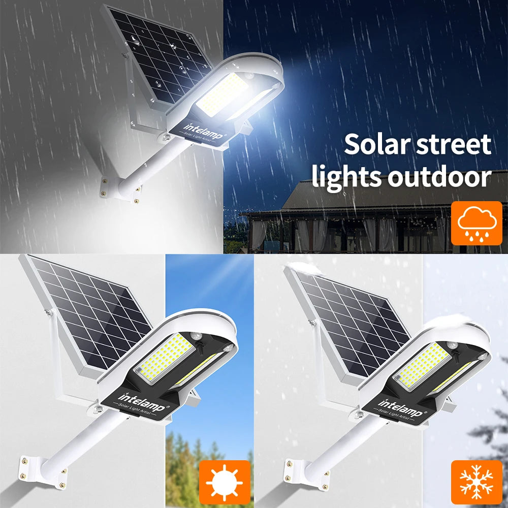 Intelamp Long Life Solar Street Lights