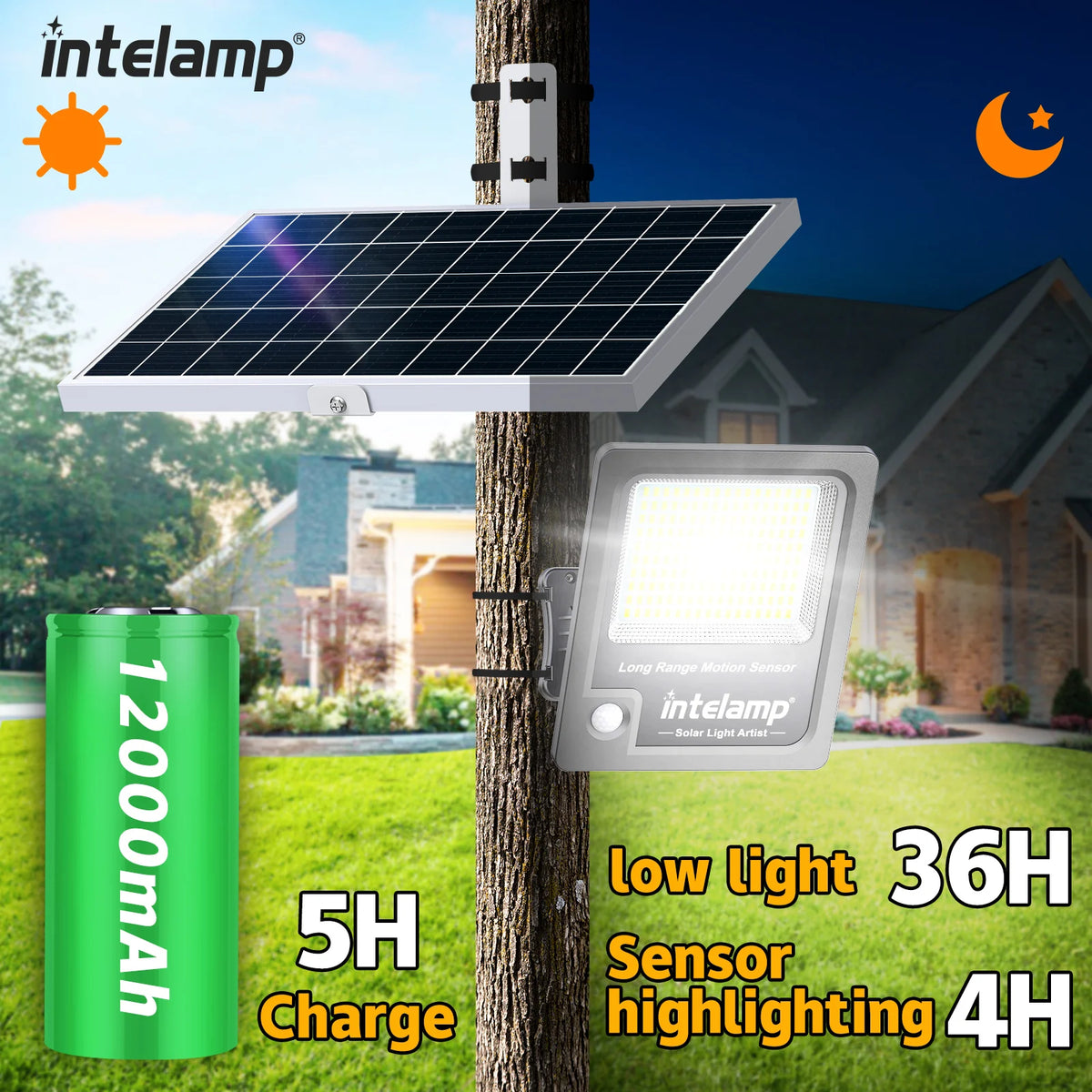 Intelamp Dual Sensor Outdoor Solar Lights